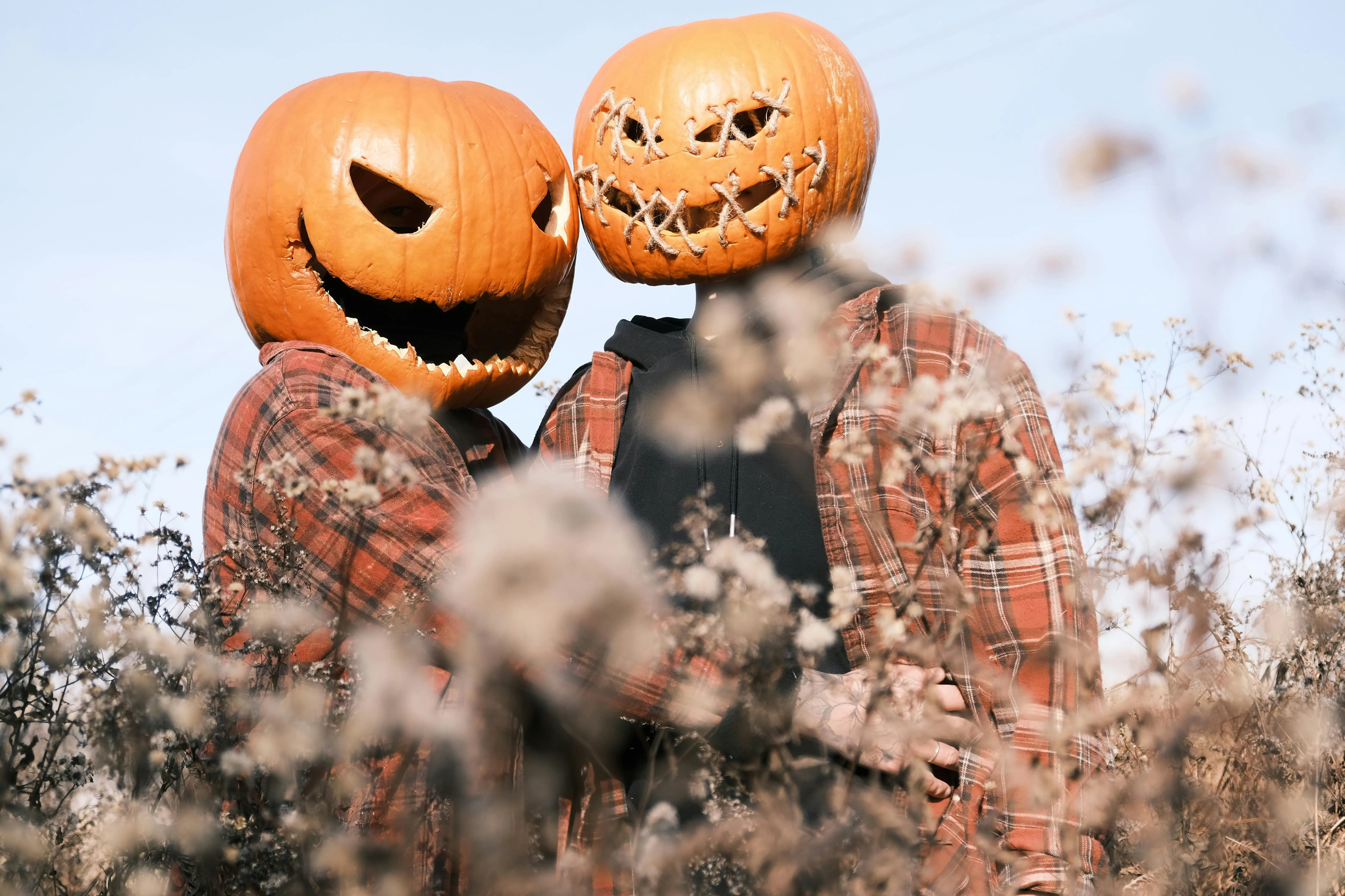 Couple in Pumpkin Heads Embracing in Field Wallpaper HD