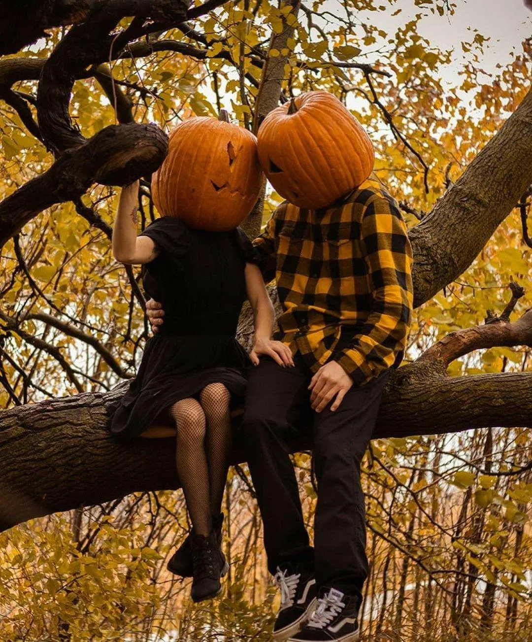 Couple with Pumpkin Heads Sitting on Tree Branch in Fall