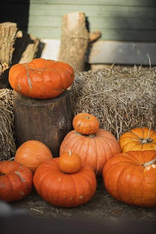 Cozy Pumpkin Display with Rustic Wooden on Steps Wallpaper