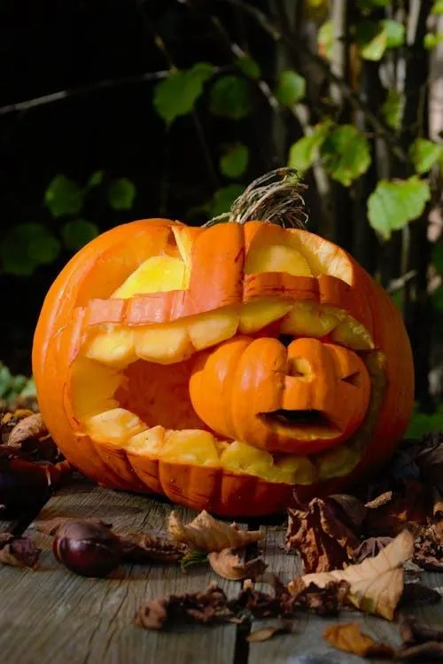 Crative Carved Pumpkin with Orange Leaves on Ground Image