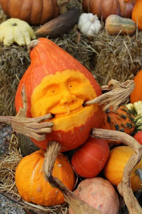 Creative Pumpkin Carving Ideas For a Fun Fall Display