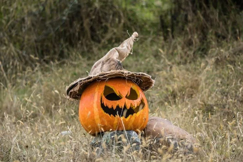 Creepy Jack O Lantern with Hat in Dry Grass Field Image