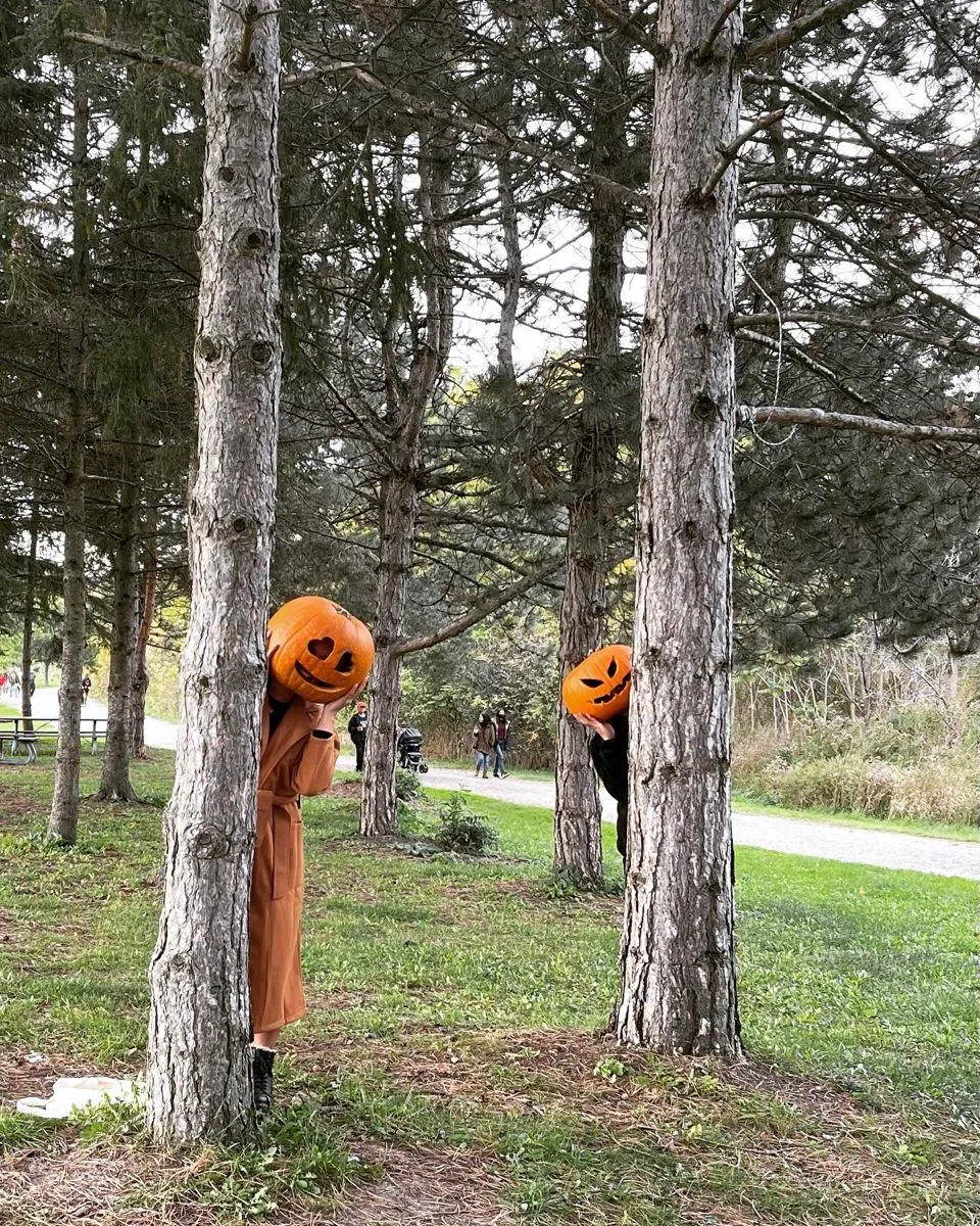 Creepy Pumpkin Head Figures Peeking from Behind Trees
