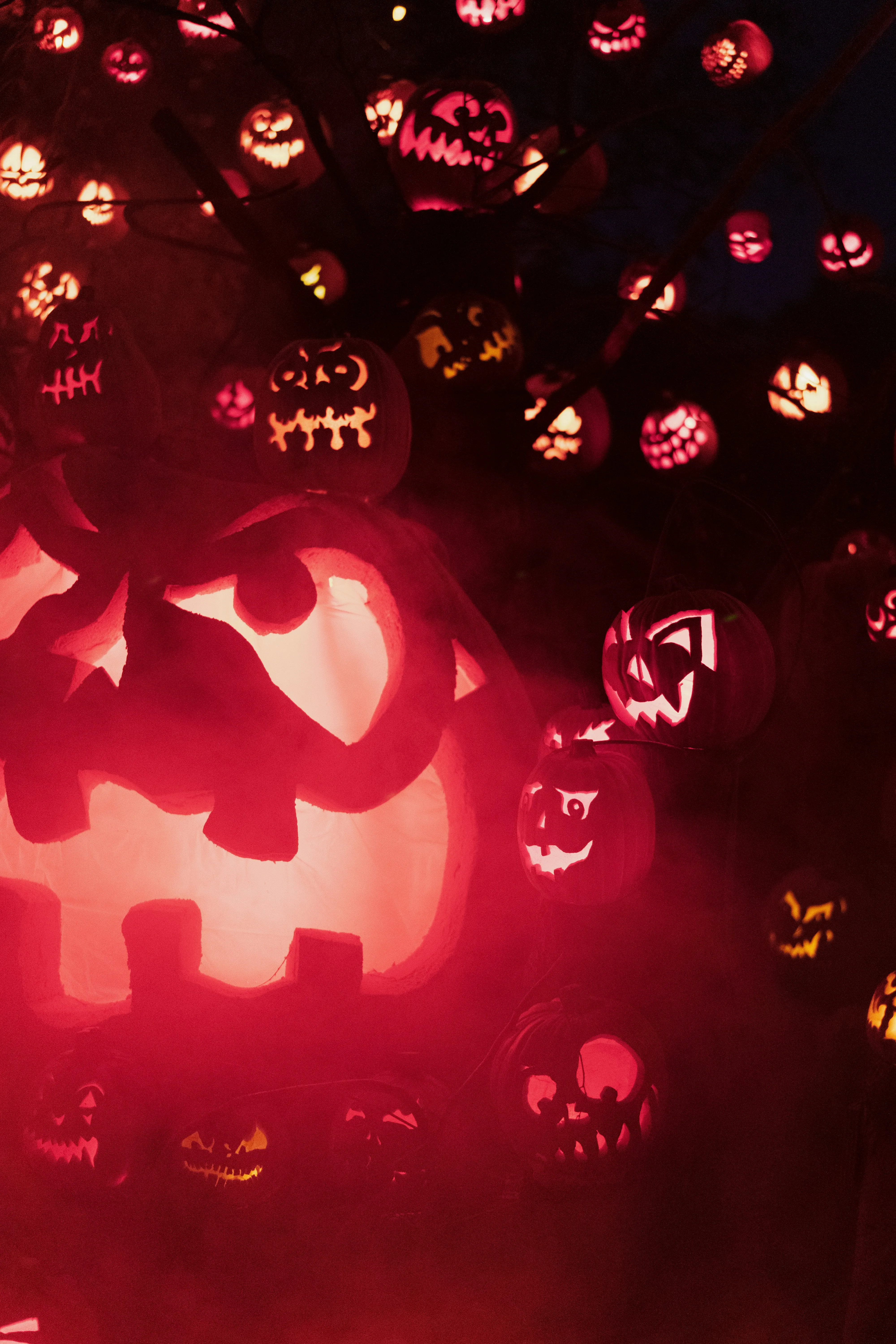 Creepy Red Light Pumpkin Faces in Halloween Night Wallpaper