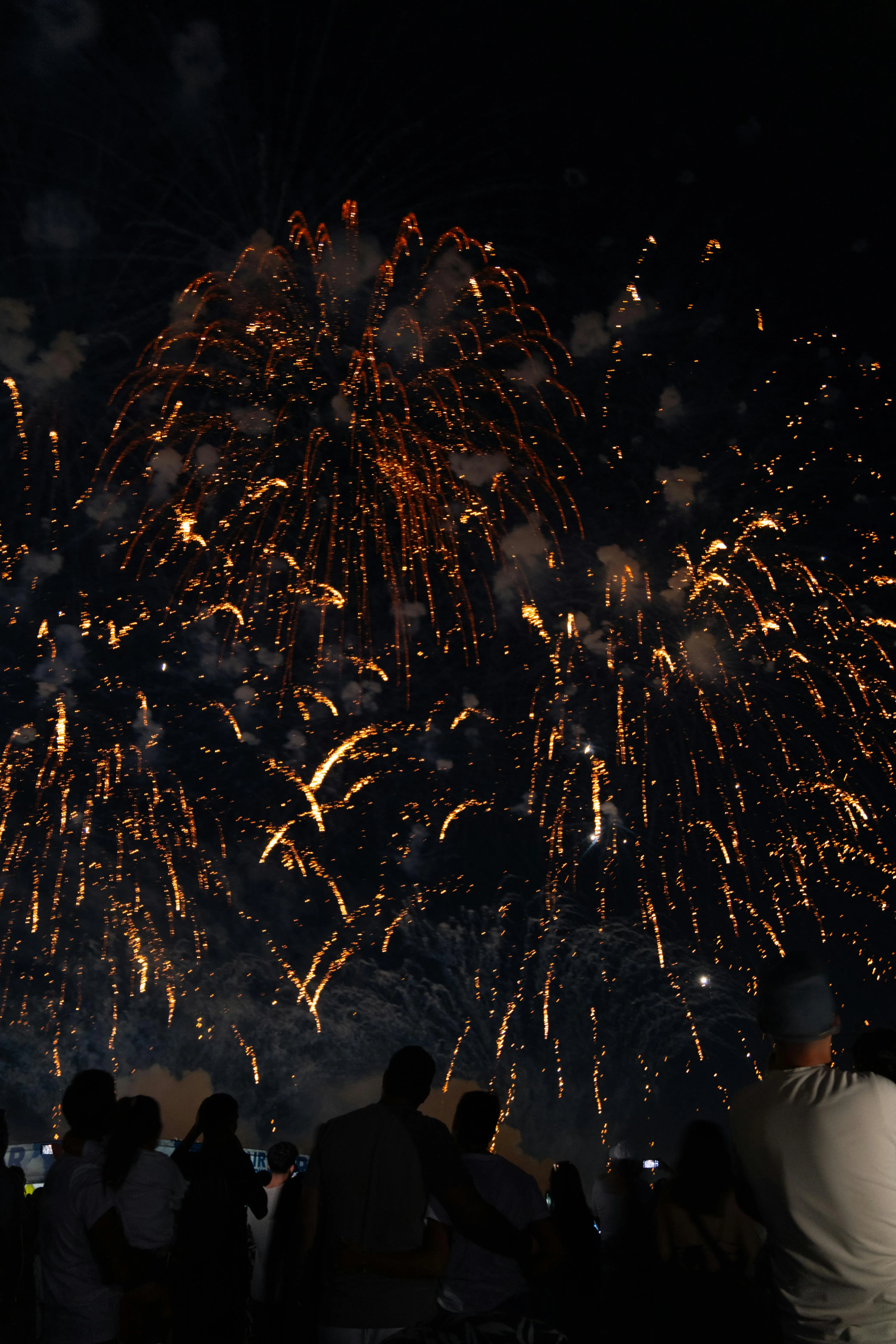Crowds enjoying the breathtaking fireworks display at night