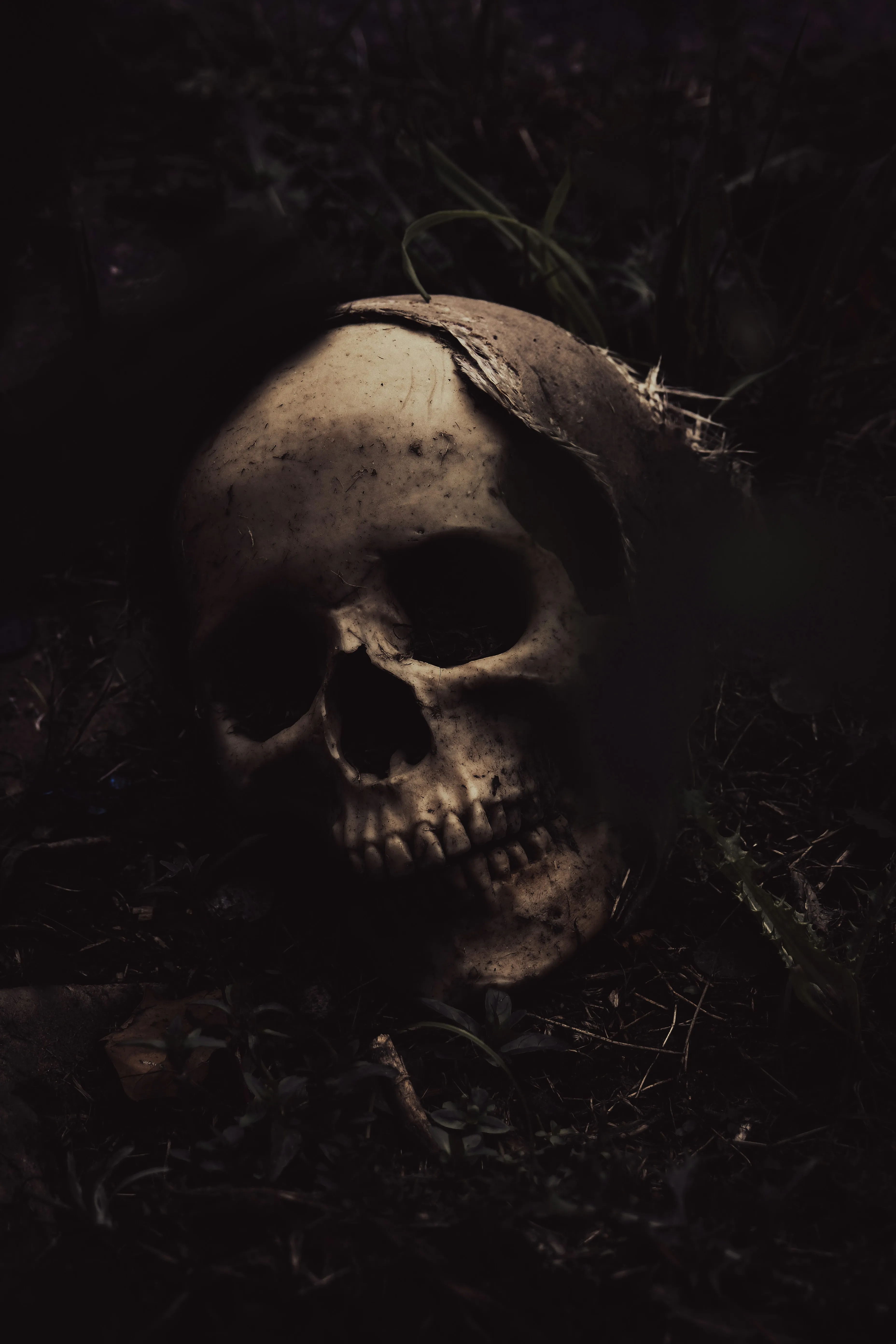 Dark Skeleton Portrait with Halloween Vibe Wallpaper