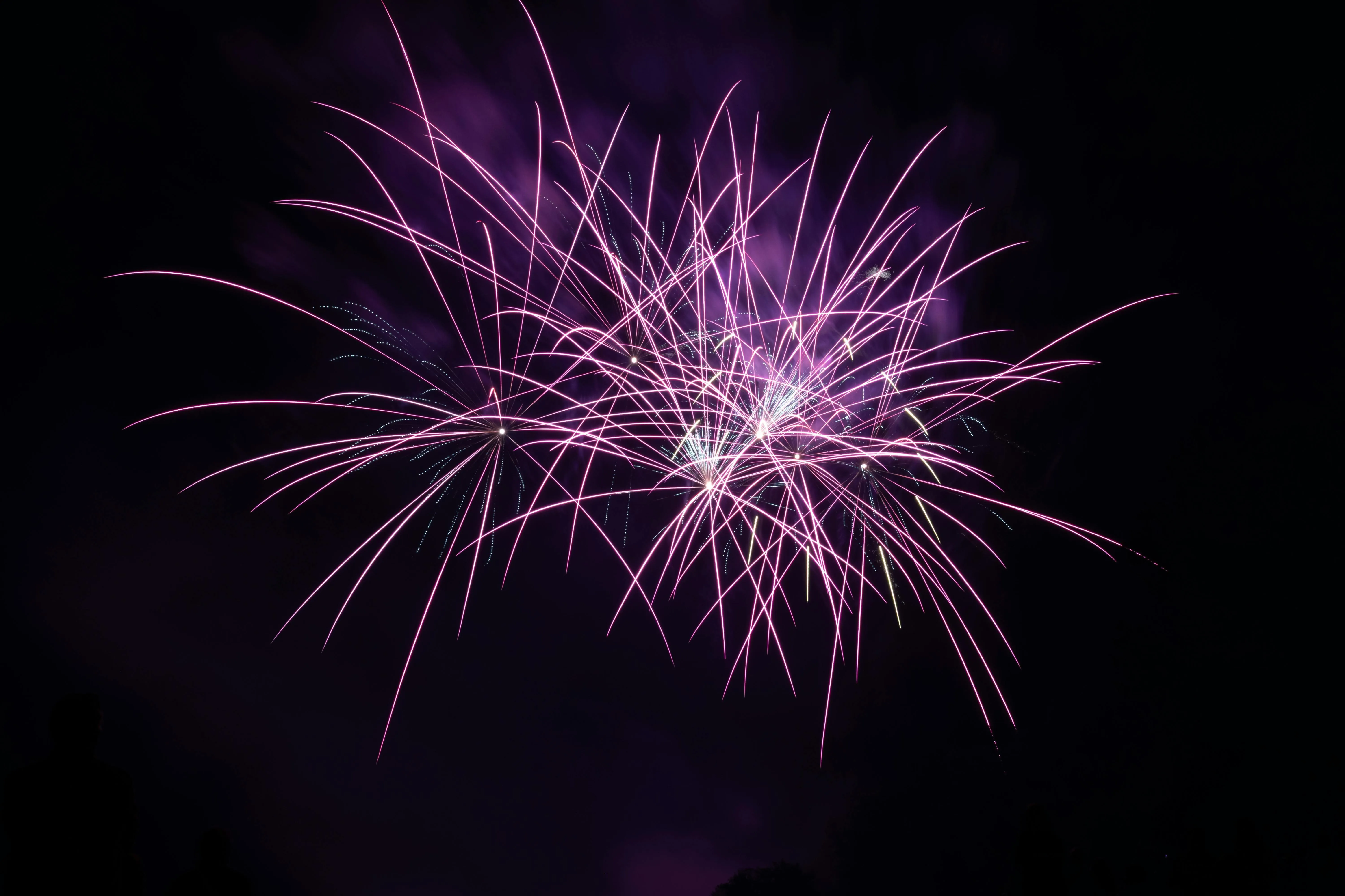 Delicate purple fireworks bursting against the dark sky