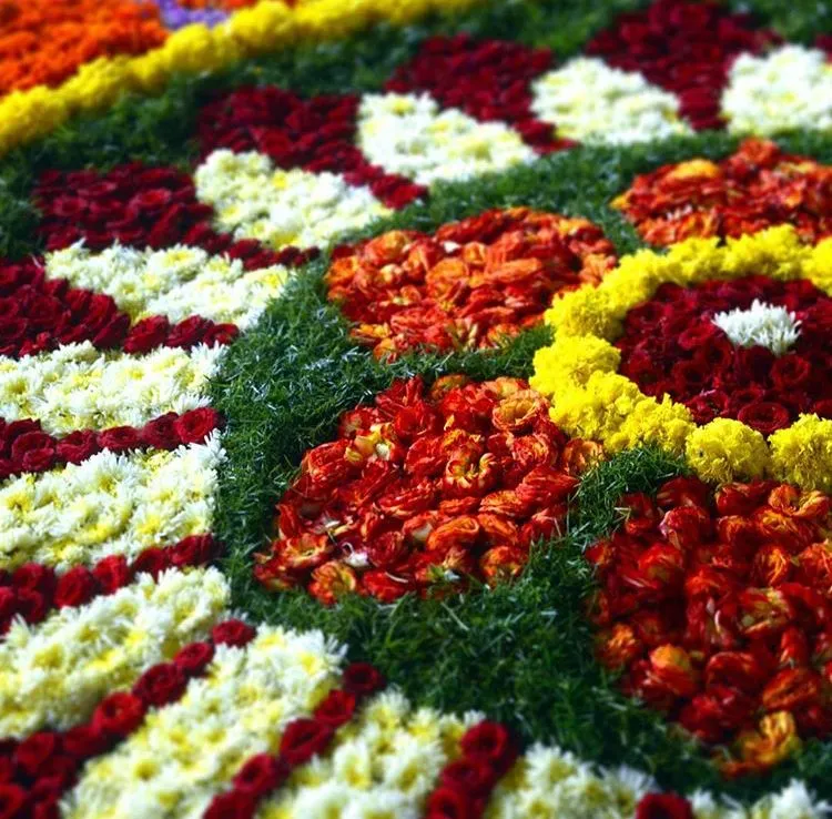 Detailed Close Up of Colourful Floral Rangoli Design HD