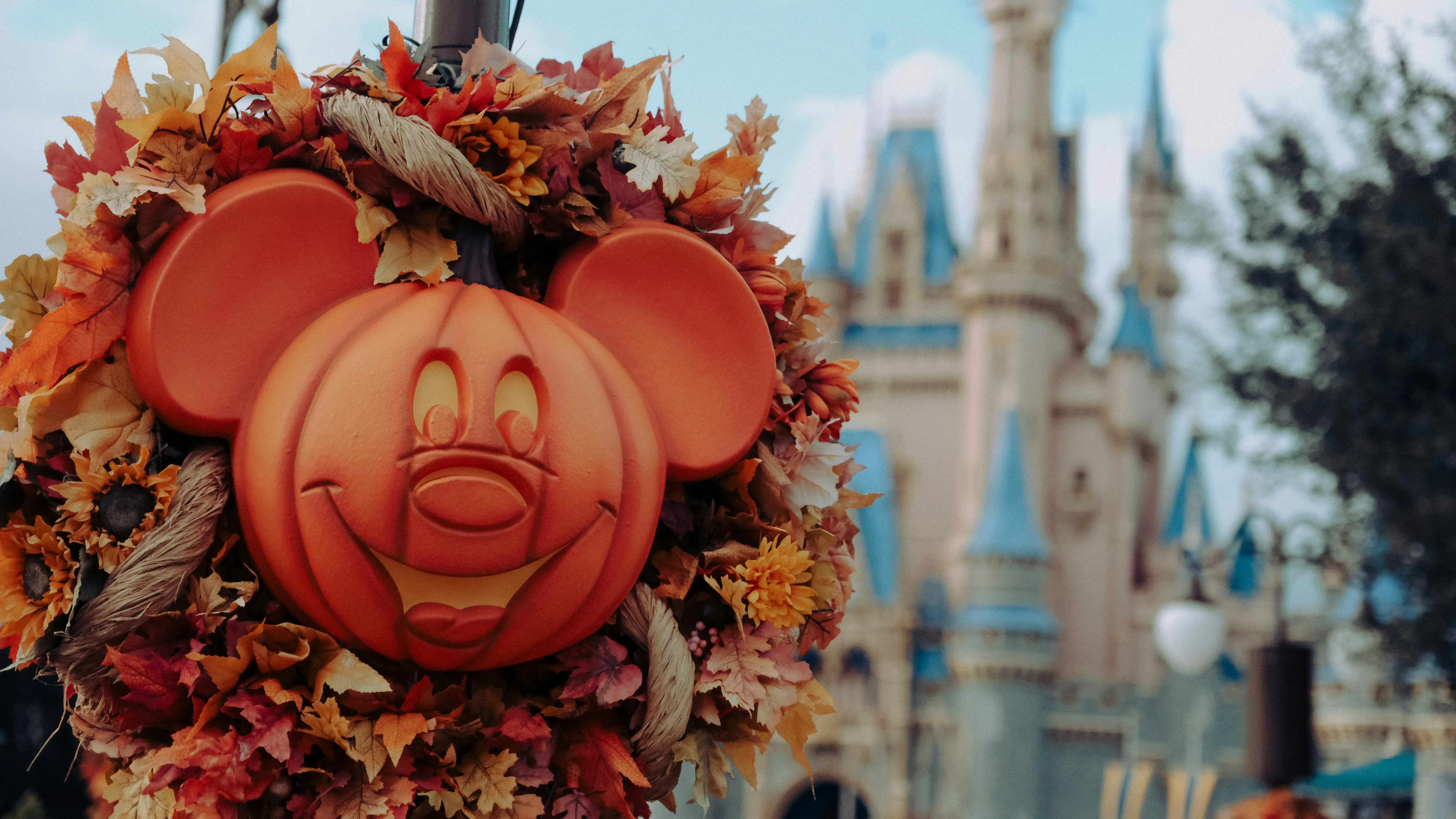 Disney Mickey Mouse Pumpkin Halloween Decoration Wallpaper