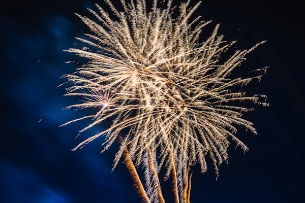 Exciting Fireworks Display Lighting up the Night