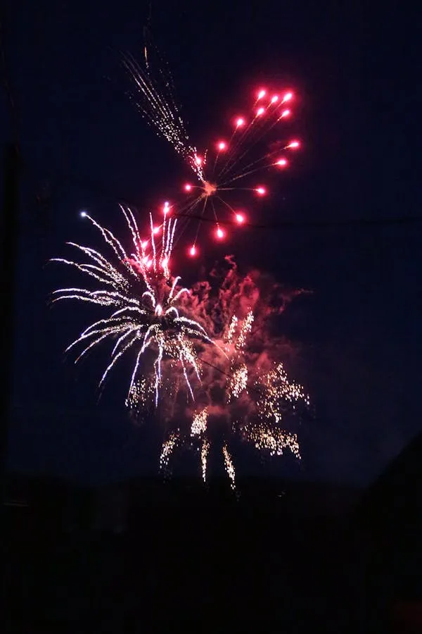 Expert photography of multicolor fireworks in motion