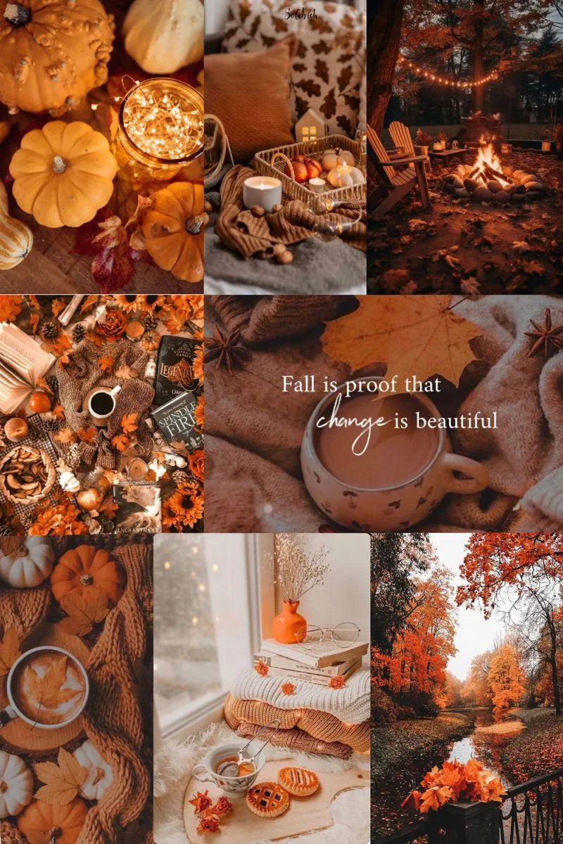 Fall Dessert Flatlay with Cookies Donuts and Pumpkins