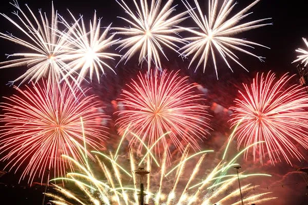 Fantastic burst of fireworks lighting up the night