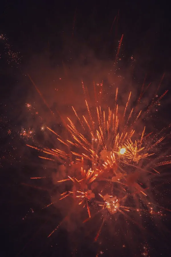 Fiery Red and Gold Fireworks Filling the Sky at Night