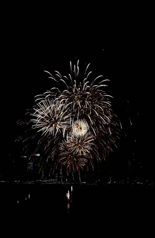 Firework Burst Reflected in Water During Night Sky Show