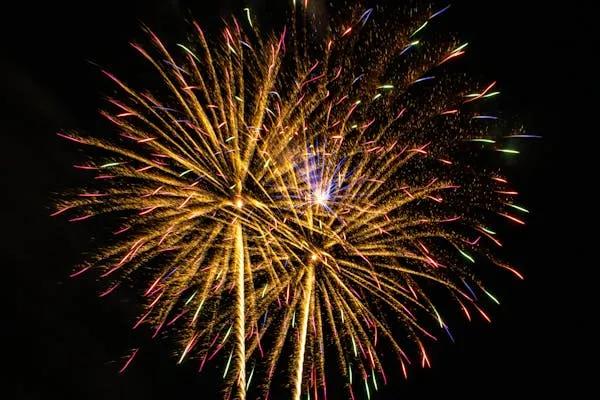 Firework Burst with a Complex Pattern of Red and Gold
