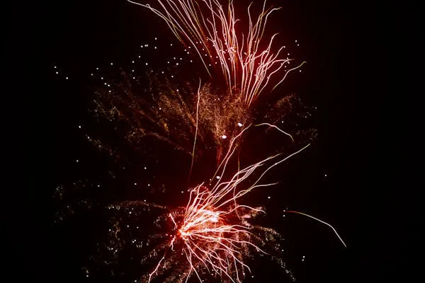 Firework Bursting into Colorful Explosions in the Sky