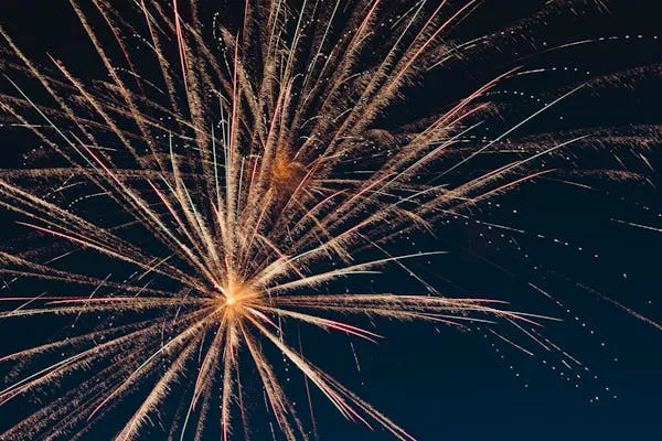 Firework with Golden Trails Exploding Against Dark Sky
