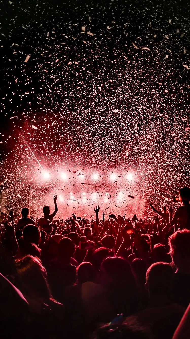 Fireworks above cheering crowd at music concert at night