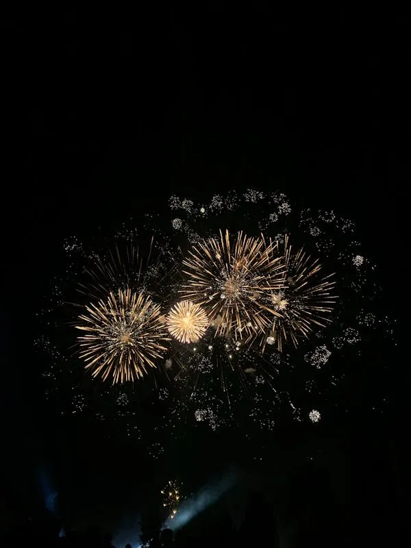 Fireworks Bursting in Multi-Colored Blossoms over Dark Sky