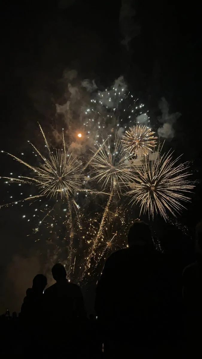 Fireworks Bursting in the Night with Golden Sparks