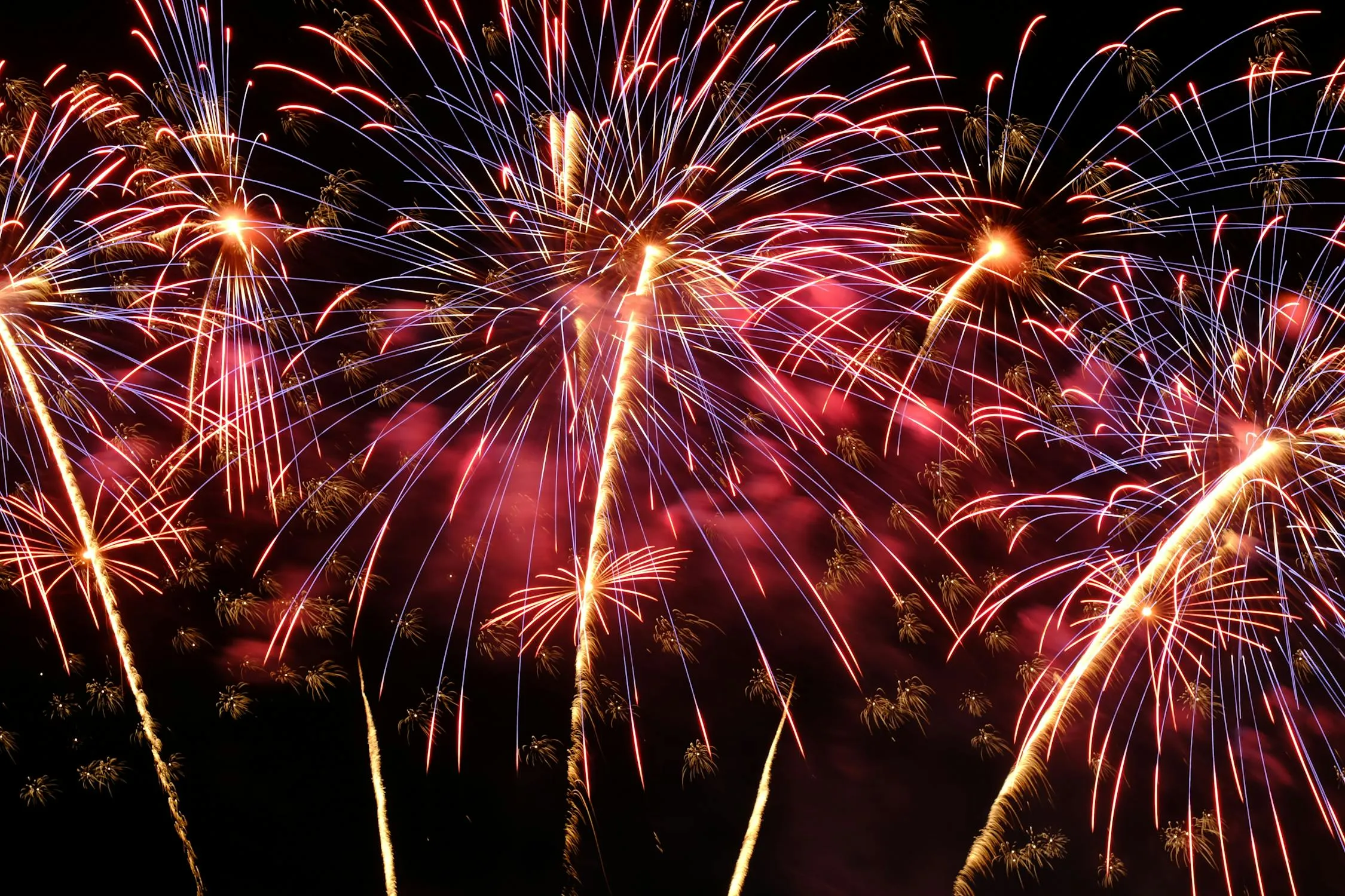 Fireworks Bursting in the Sky above a Dark Landscape