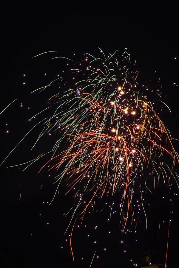 Fireworks Bursting with Gold and Red over the Dark Sky