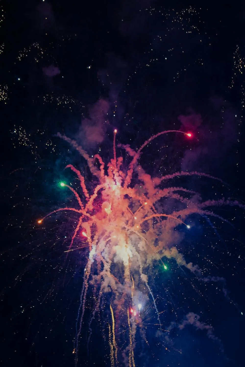 Fireworks bursting with vibrant colors in the dark night sky