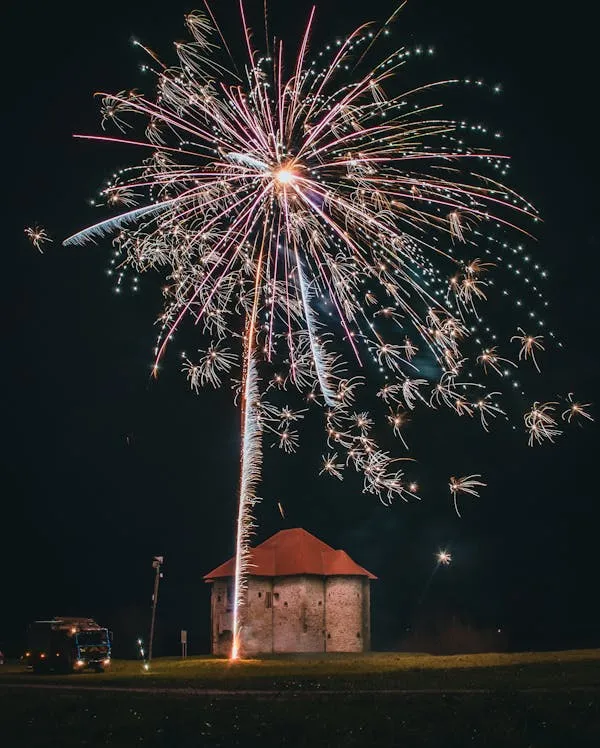Fireworks Creating Starburst Shapes over a Quiet Park