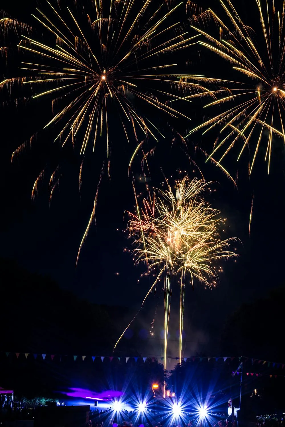 Fireworks display illuminating the night sky HD Wallpaper