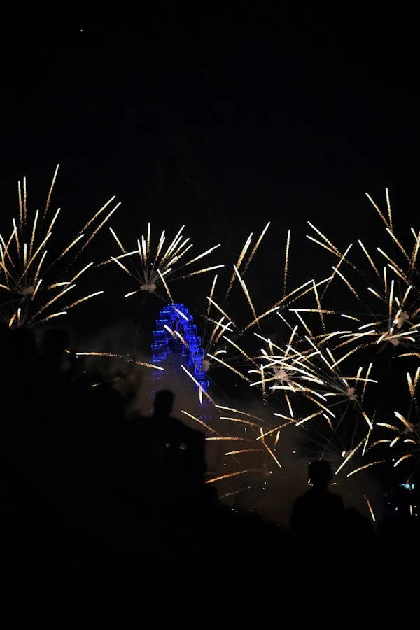 Fireworks Display with Person Silhouetted Against Bright Sky