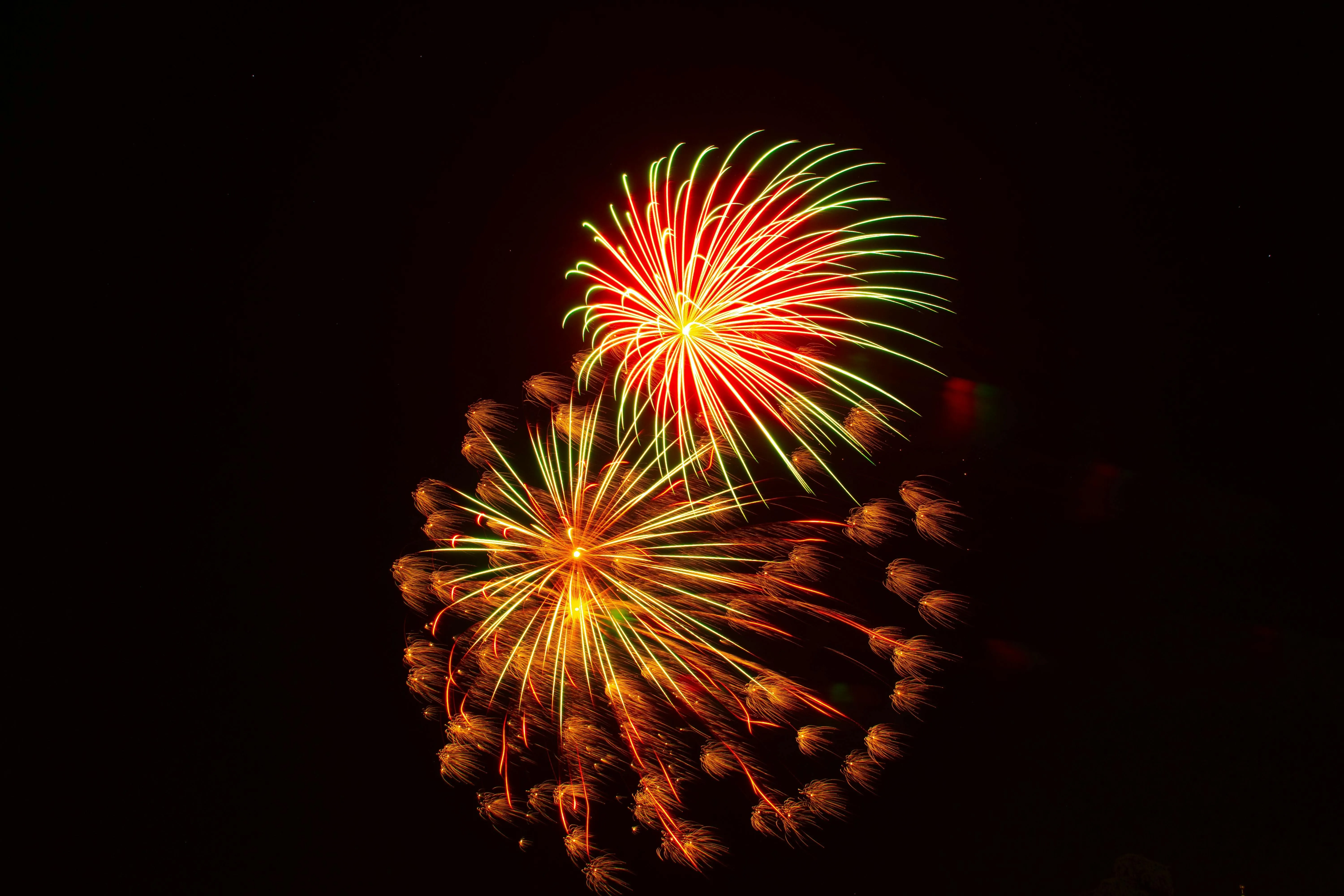 Fireworks displaying brilliant colors in the night sky