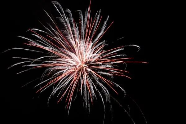 Fireworks Exploding in Stunning Patterns in Dark Sky