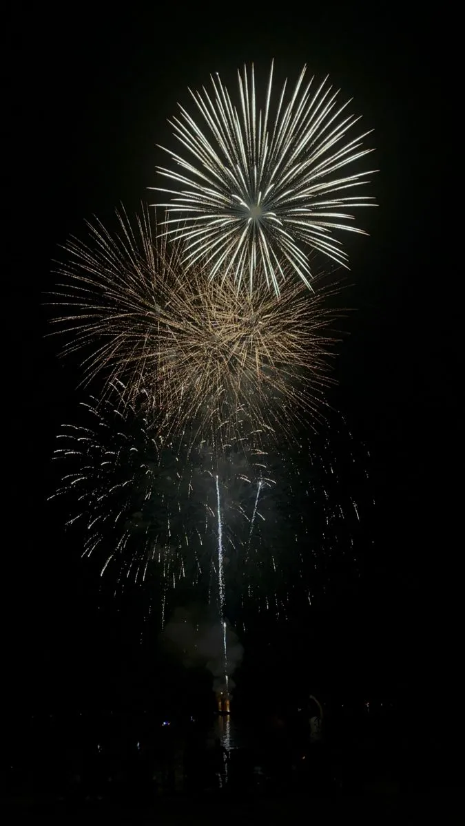 Fireworks exploding in the sky during a dark night event