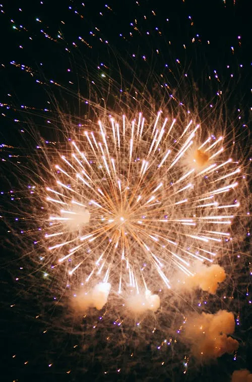 Fireworks in multiple colors lighting up the dark sky