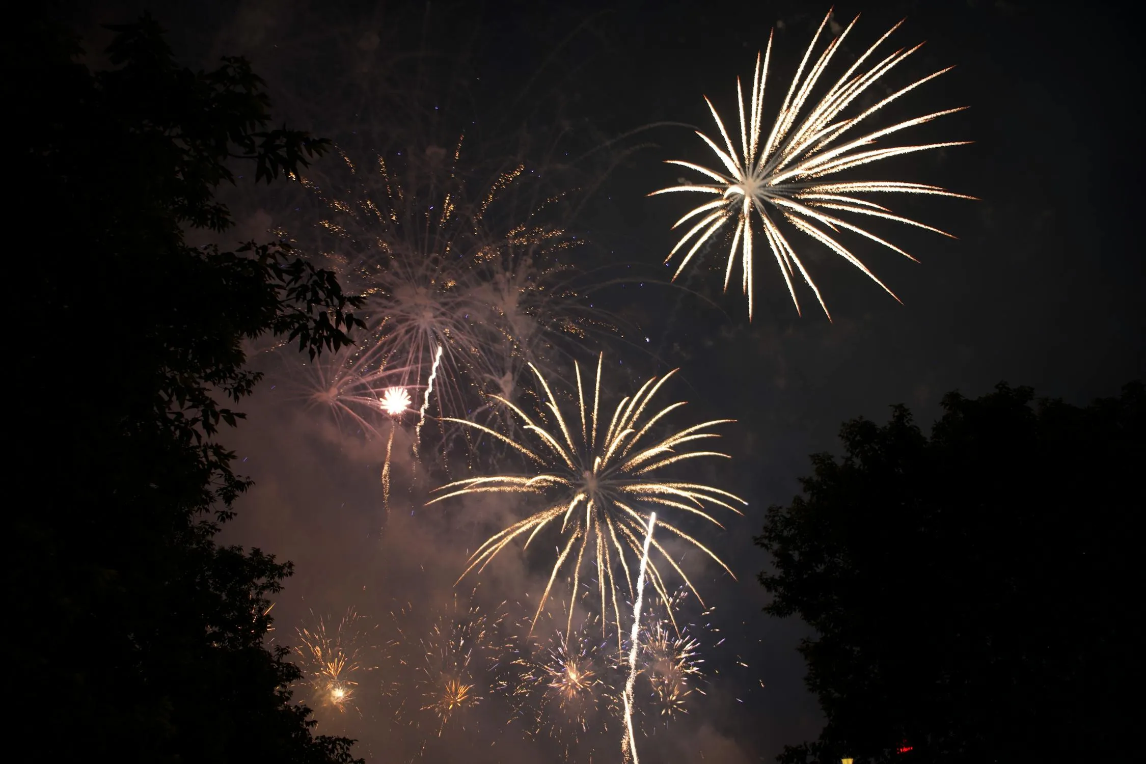 Fireworks rise into the dark sky with drifting smoke