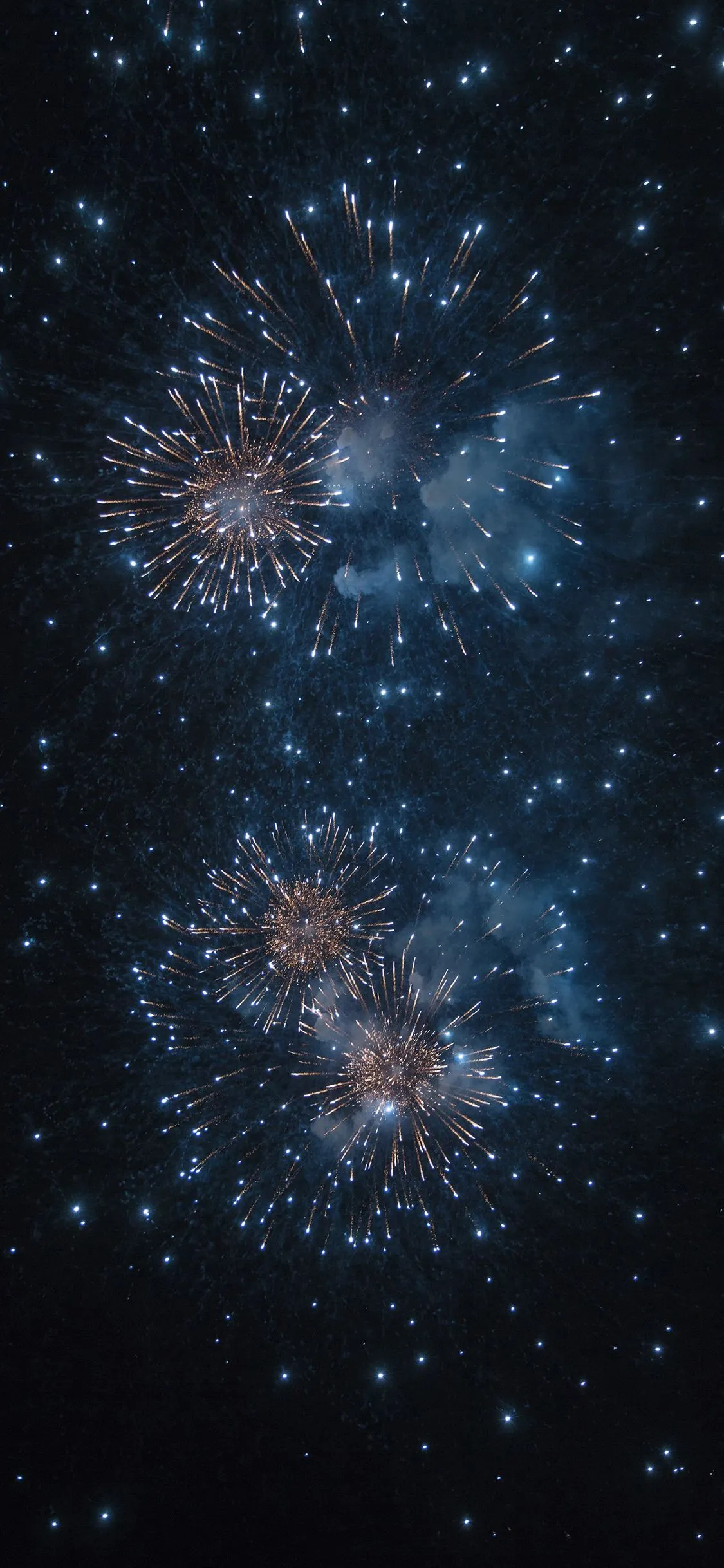 Fireworks Sparkling in the Night Sky above free image