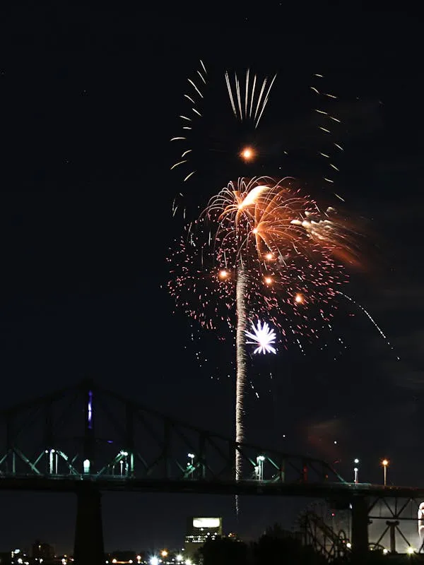 Fireworks with Dark Sky Backdrop and Blazing Light Trails