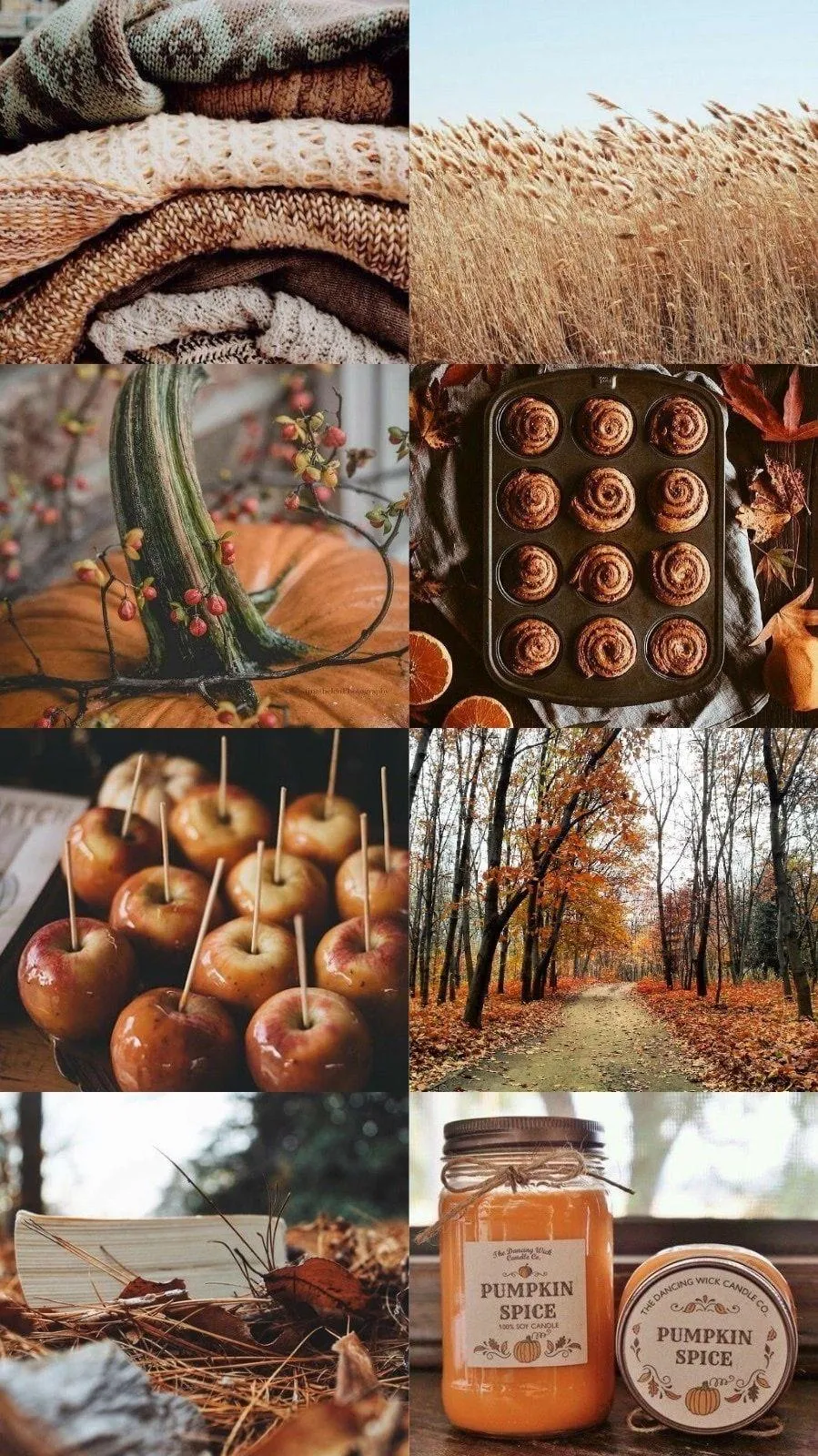 Flat Lay Of Fall Desserts Pies and Pumpkin Spice Treats
