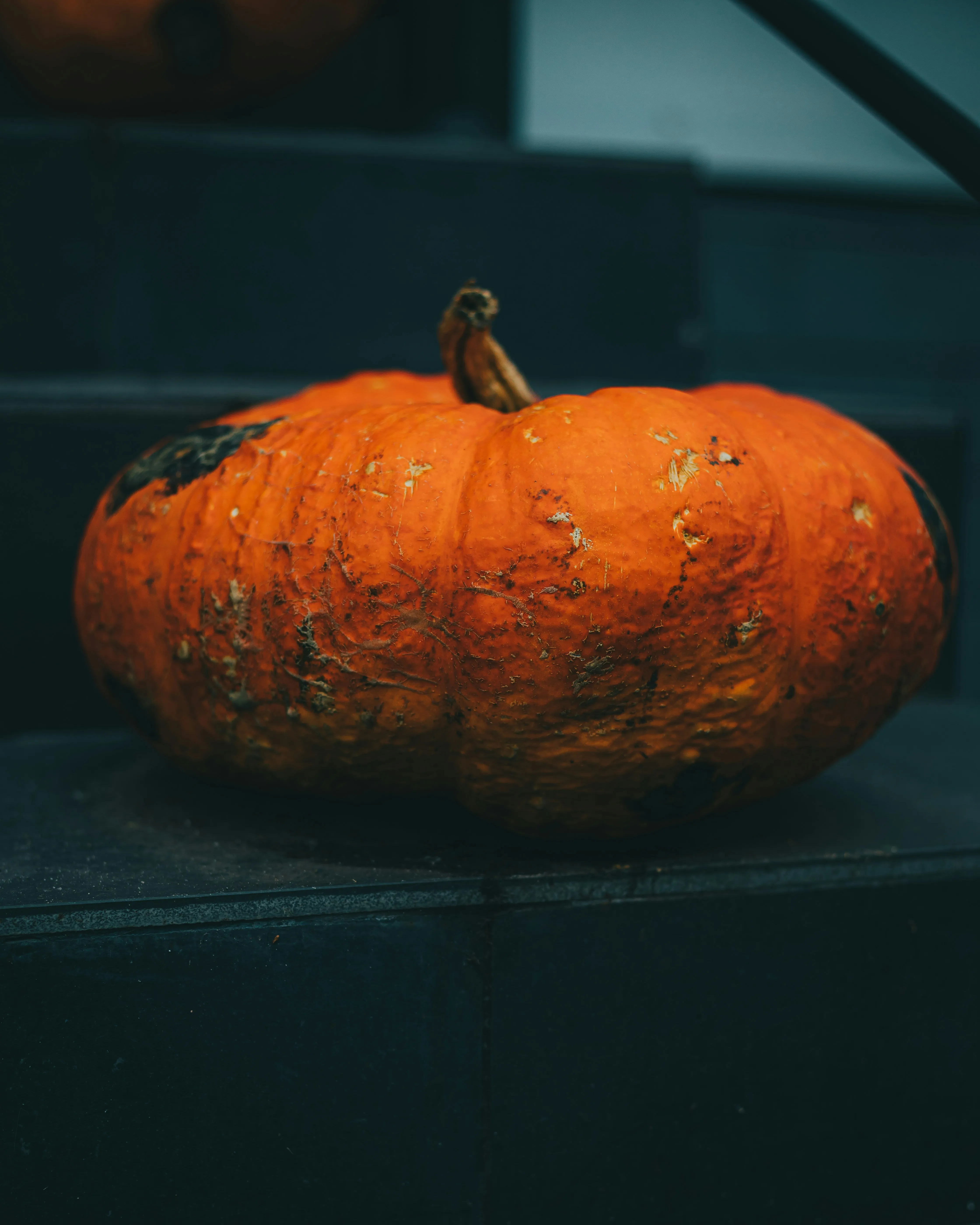 Flat Pumpkin on Stone Step in Natural Light HD Wallpaper