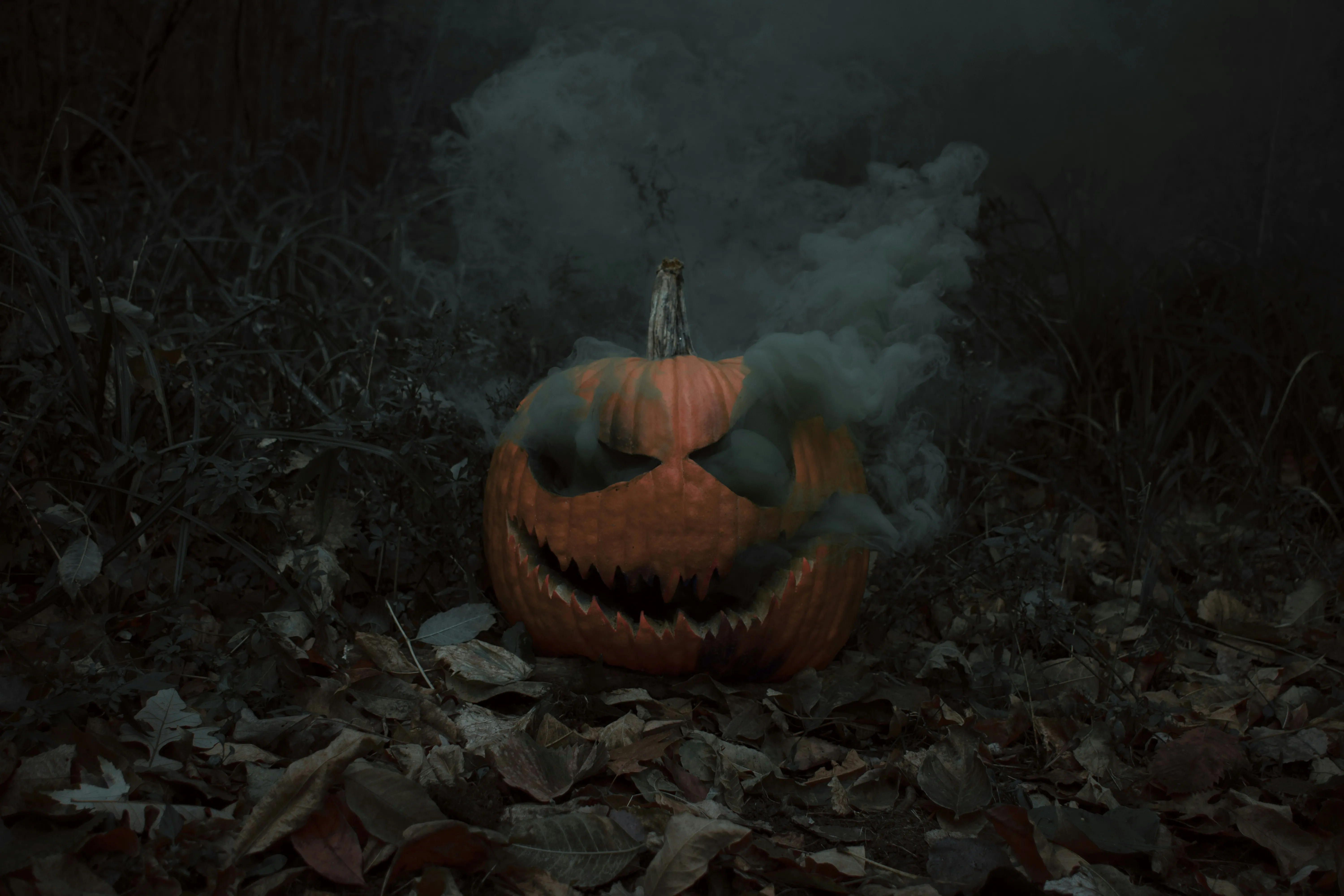 Foggy Forest Scene with Creepy Halloween Pumpkin Wallpaper