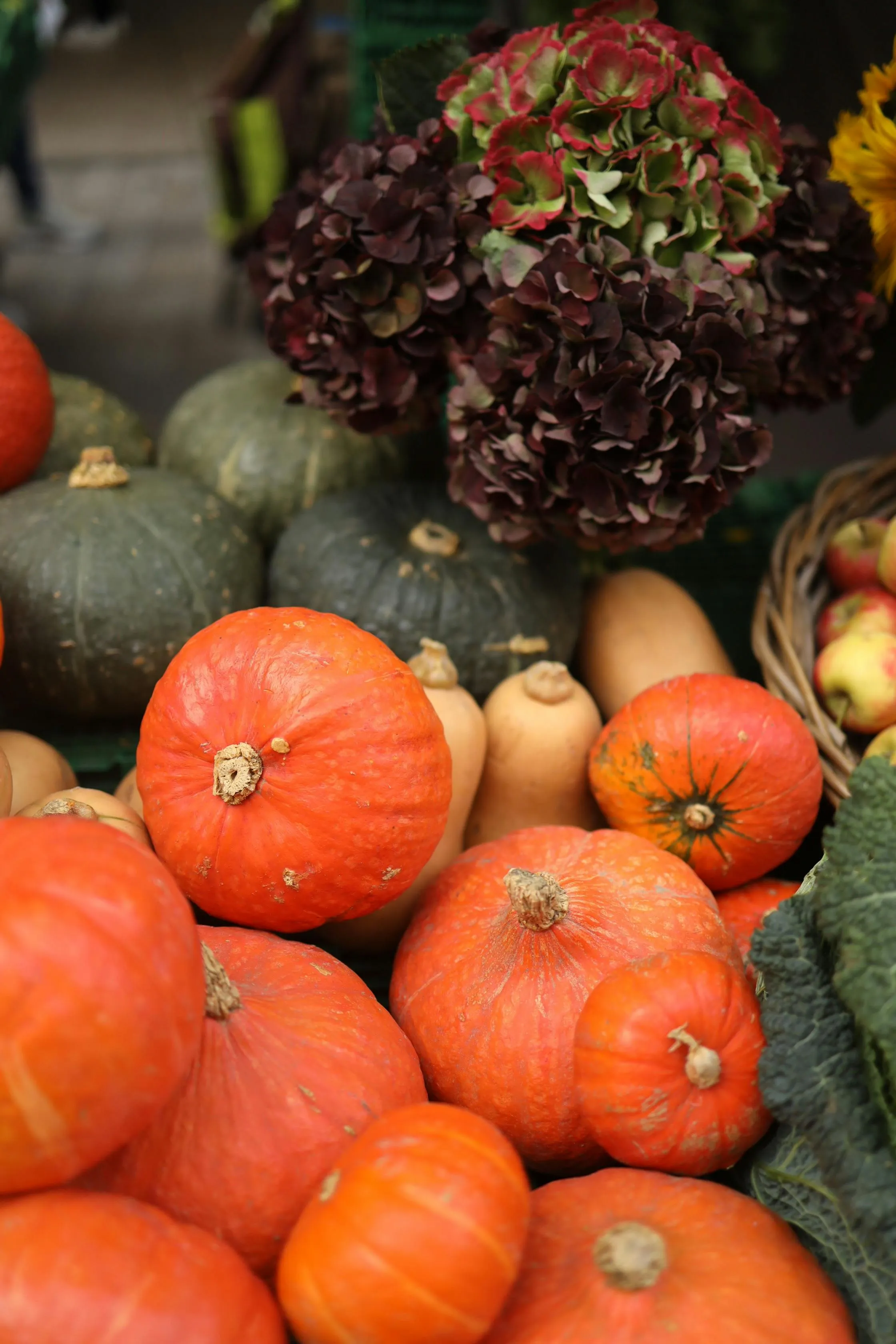Fresh Harvest Display Of Gourds and Pumpkins in Basket