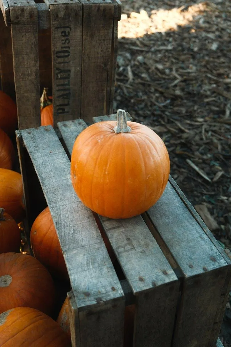 Fresh Pumpkin on Rustic Wooden Crate in Autumn Scene Image