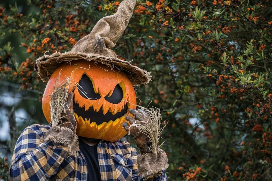 Friendly Scarecrow with Jack O Lantern Pumpkin Face Image