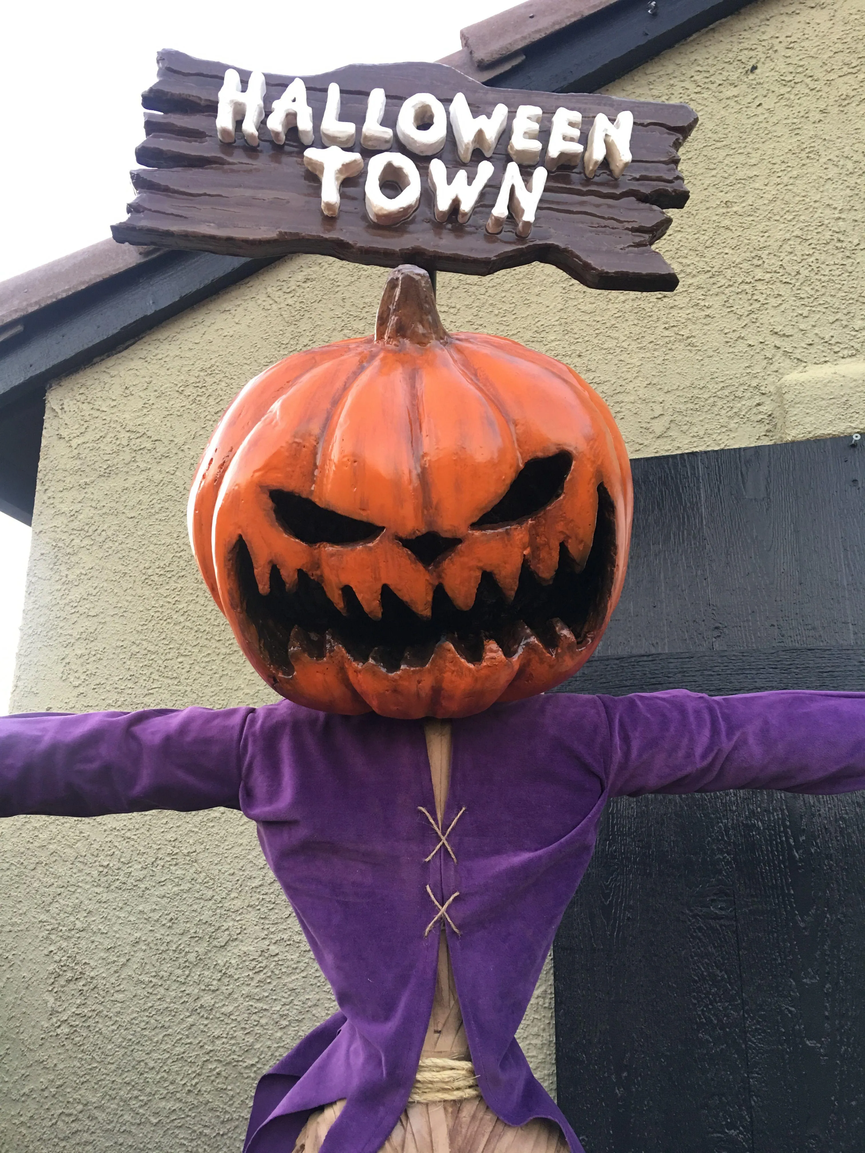 Fun Pumpkin Head Costume with Halloween Town Text image