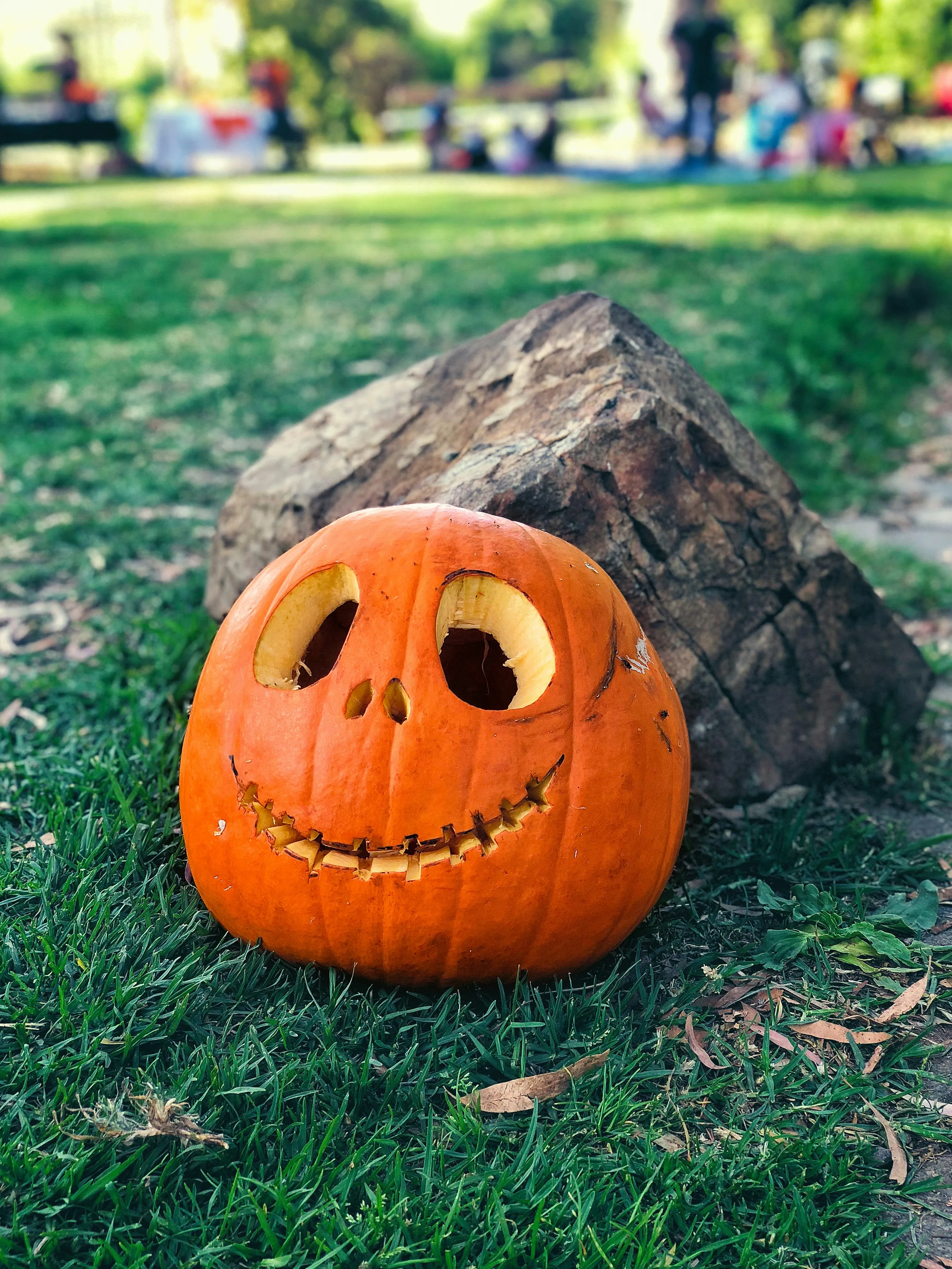 Funny Carved Pumpkin on Lawn with Goofy Face Wallpaper