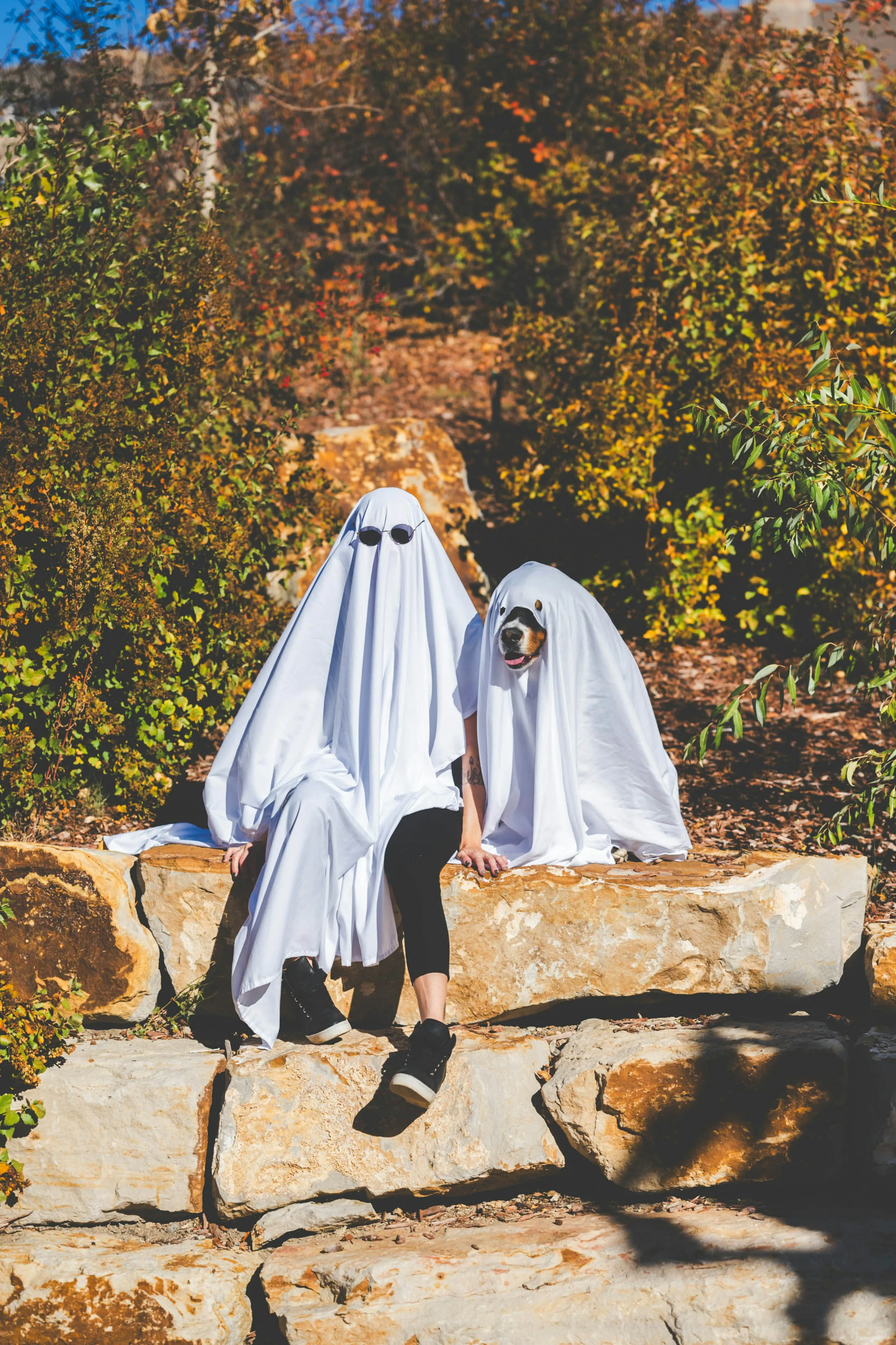Ghost Costume Fun with Dog for Halloween Outdoors Shoot