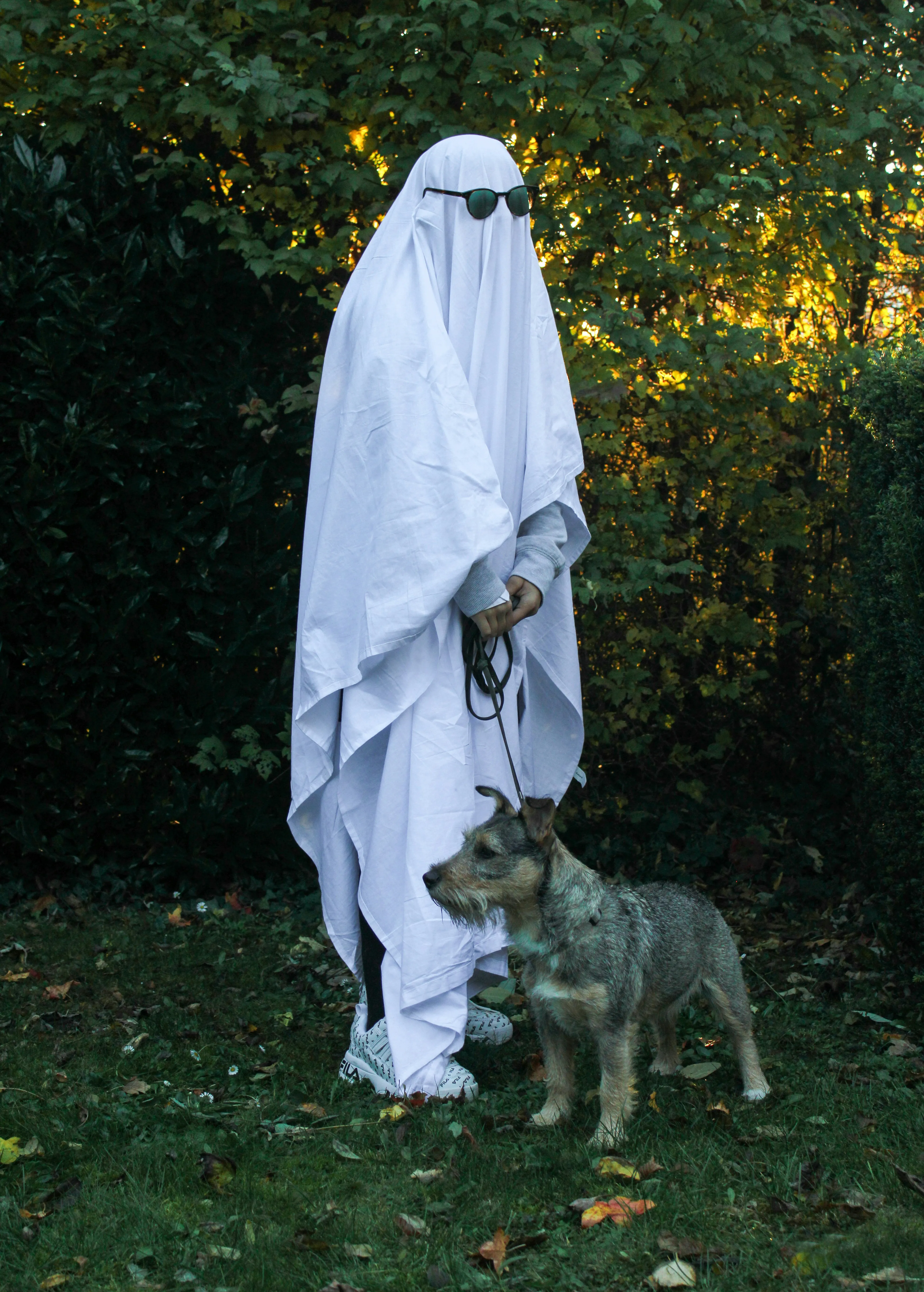 Ghost Costume with Dog in Autumn Festival Wallpaper