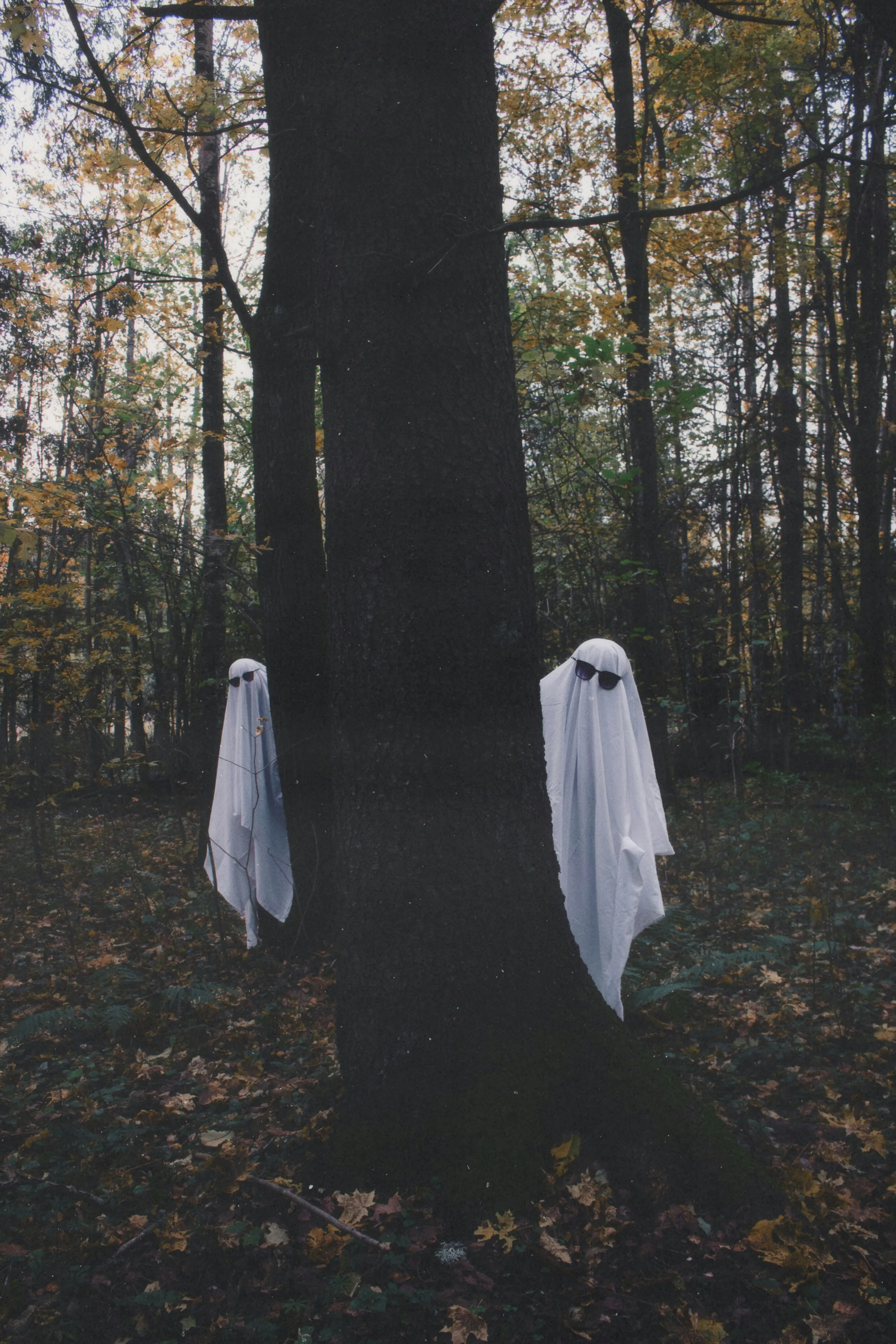 Ghost Costumes in Forest During Halloween Dusk Wallpaper
