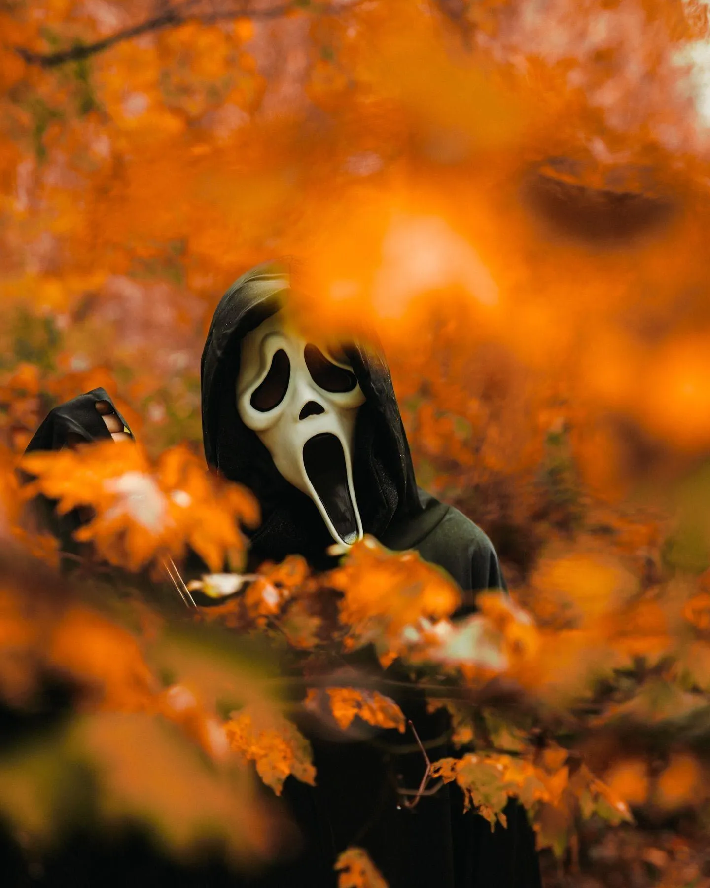 Ghost face peeking from the Autumn leaves HD Wallpaper